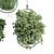 Modern Hanging Plant for Indoor Spaces 3D model small image 4