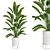 Modern Plant Collection 55 3D model small image 1