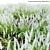 3D Plant Models Collection: Versatile, High-Quality 3D model small image 5