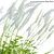 3D Plant Models Collection: Versatile, High-Quality 3D model small image 6