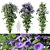 Blue Morning Glory 3D Model 3D model small image 1