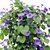 Blue Morning Glory 3D Model 3D model small image 4