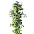 Blue Morning Glory 3D Model 3D model small image 6