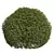 Pyrosia Lingua Fern Sphere Hedge 3D model small image 3