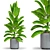 Corona Render Plant Models Pack 3D model small image 1