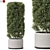 852 Plant Collection - Botanical Beauty 3D model small image 1