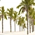 Exquisite Cocos Queen Palm Models 3D model small image 2