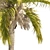 Exquisite Cocos Queen Palm Models 3D model small image 4