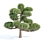 Poplar Trees Collection 3D Model 3D model small image 3