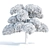 Poplar Trees Collection 3D Model 3D model small image 5