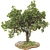 Pomegranate Tree 3D Model with Materials 3D model small image 2