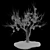 Pomegranate Tree 3D Model with Materials 3D model small image 6