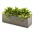 Botanical Sanctuary Outdoor Plants 3D model small image 2