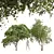 Tropical Green Plant Duo 3D 3D model small image 1