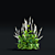 White Bistort 3D Model Kit 3D model small image 4