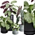 Exotic Indoor Plant Collection Pack 3D model small image 3