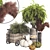 Spooky Halloween Outdoor Plant Set 3D model small image 1