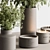 Potted Plant & Vase Duo 3D model small image 2