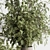 Potted Plant & Vase Duo 3D model small image 3