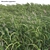 Complete 3D Miscanthus Plant Models 3D model small image 2