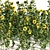 Optimized 3D Sunflower Field Model 3D model small image 3