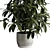 Ficus Plant 3D Model Vase 3D model small image 2