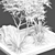 Outdoor Plant 168 3D Model 3D model small image 4