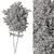 Maple Tree Set 129 3D model small image 5