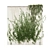 Quality Hedera Outdoor Plant Model 3D model small image 3
