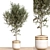 Flora Assortment for Rendering 3D model small image 1