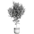 Flora Assortment for Rendering 3D model small image 2