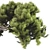 Bonsai Tree 58 Model Kit 3D model small image 4