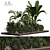 Versatile Outdoor Plant 3D Model 3D model small image 1