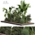 Versatile Outdoor Plant 3D Model 3D model small image 5