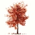 Rustic Maple Tree Decor 3D model small image 3