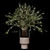 Pompas Bouquet 3D Model Export 3D model small image 1