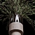 Pompas Bouquet 3D Model Export 3D model small image 3