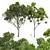 Giant Tree 3D Models Bundle 3D model small image 1