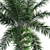  Complete 3D African Oil Palm 3D model small image 3