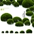 European Yew Ball Trees Set 3D model small image 1