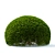 European Yew Ball Trees Set 3D model small image 5