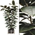 Glossy Ficus Elastica Indoor Plant 3D model small image 3