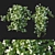 Corona Bougainvillea Vines 3D Model 3D model small image 1