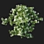 Corona Bougainvillea Vines 3D Model 3D model small image 2