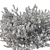 Variegated Prostanthera 2016 3D Model 3D model small image 3