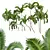Luxury Areca Catechu Plant Collection 3D model small image 1