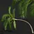 Luxury Areca Catechu Plant Collection 3D model small image 3