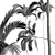 Luxury Areca Catechu Plant Collection 3D model small image 7