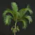 Exotic Plant 3D Models Bundle 3D model small image 3