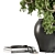 Botanical Bliss Vase Plant Set 3D model small image 4